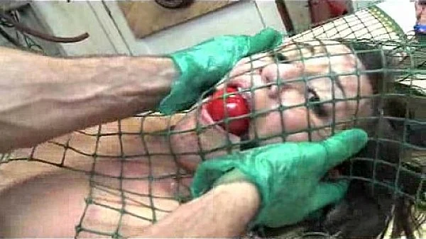 Brooke’s Little Workshop Of d.