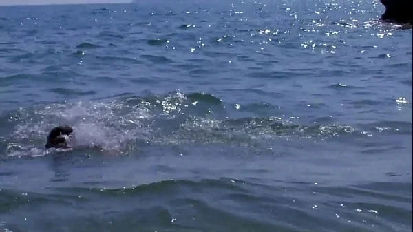 analsex whore with 2 men