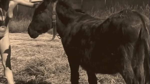 ‘Beauty & The Beast’, My Secret Life