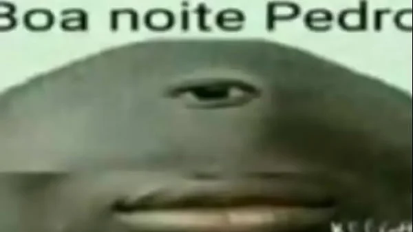 dando a bunda e chupando homens