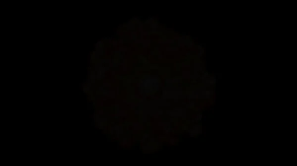 Don Whoe Loves to Creampie Nina Rivera ‘s sweet Pussy