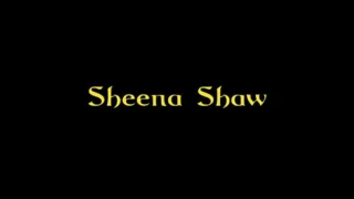 Sexy Brunette Sheena Shaw Sucks And Swallows From Cock Through Glory Hole