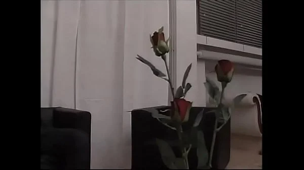 Two strangers takes care of a bitch