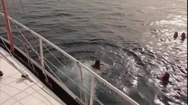 Yach Orgy with Couples – More on 666sex.webcam